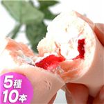�V�H���I�I�����������[��5��ރZ�b�g�i�L���������E䕁E�`���R�E�o�i�i�E������e2�{�@�v10�{�j